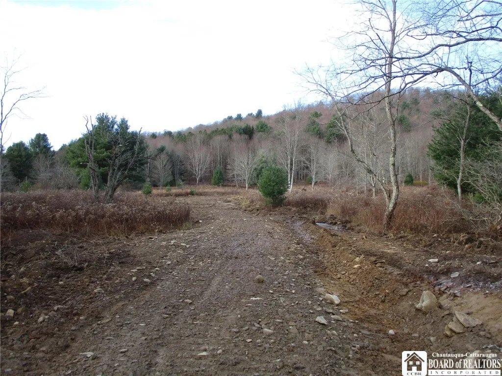 Salt Rising Road, Genesee, New York 14715, Genesee, New York 14715, ,Land,For Sale,Salt Rising Road, Genesee, New York 14715,0,R1650682