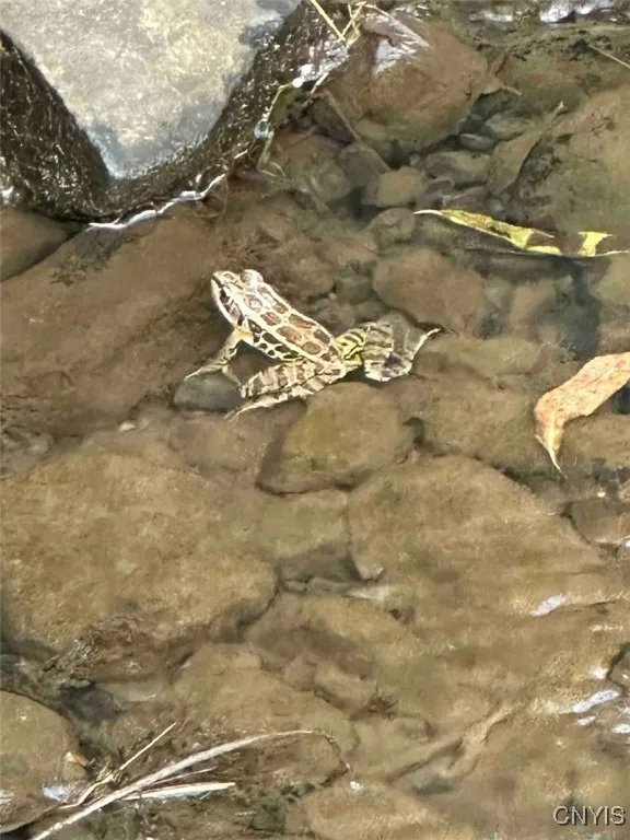 360 Ives Hill Road, Afton, New York 13730, Afton, New York 13730, ,Land,For Sale,360 Ives Hill Road, Afton, New York 13730,0,S1650736