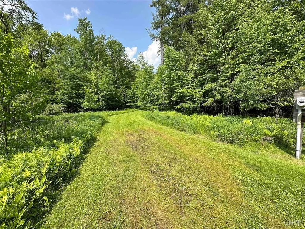 360 Ives Hill Road, Afton, New York 13730, Afton, New York 13730, ,Land,For Sale,360 Ives Hill Road, Afton, New York 13730,0,S1650736