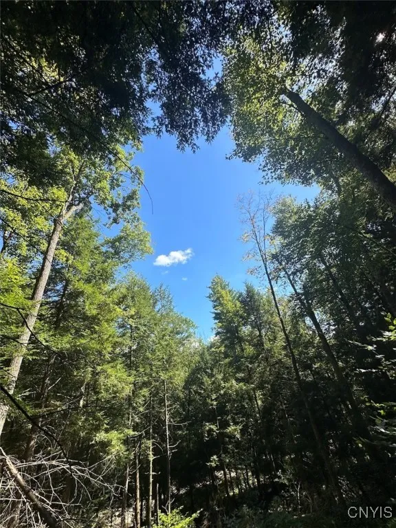 360 Ives Hill Road, Afton, New York 13730, Afton, New York 13730, ,Land,For Sale,360 Ives Hill Road, Afton, New York 13730,0,S1650736