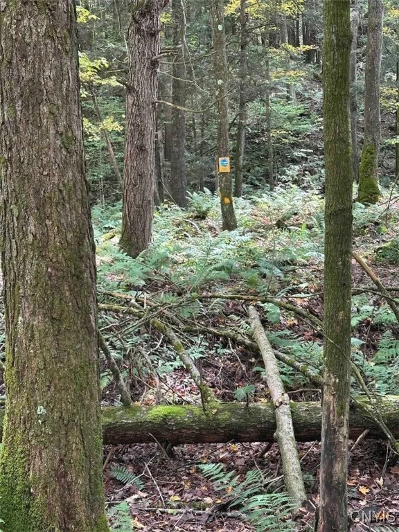 360 Ives Hill Road, Afton, New York 13730, Afton, New York 13730, ,Land,For Sale,360 Ives Hill Road, Afton, New York 13730,0,S1650736