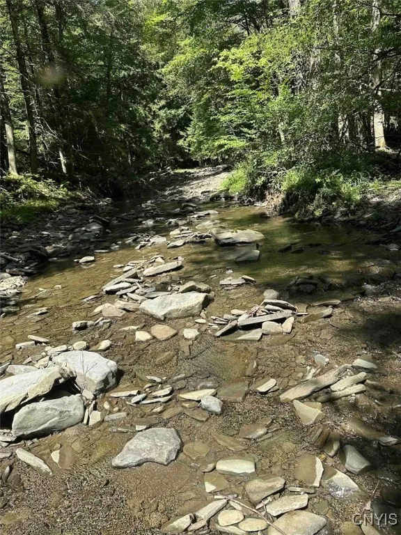 360 Ives Hill Road, Afton, New York 13730, Afton, New York 13730, ,Land,For Sale,360 Ives Hill Road, Afton, New York 13730,0,S1650736