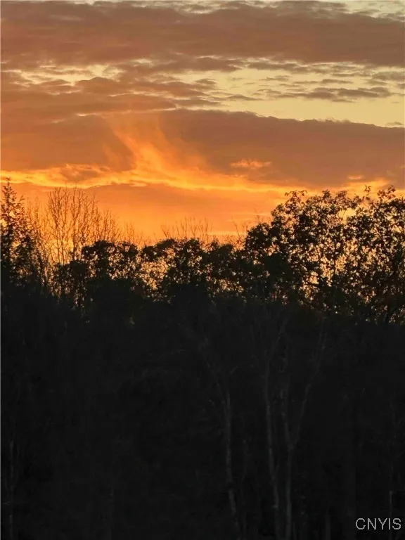 360 Ives Hill Road, Afton, New York 13730, Afton, New York 13730, ,Land,For Sale,360 Ives Hill Road, Afton, New York 13730,0,S1650736