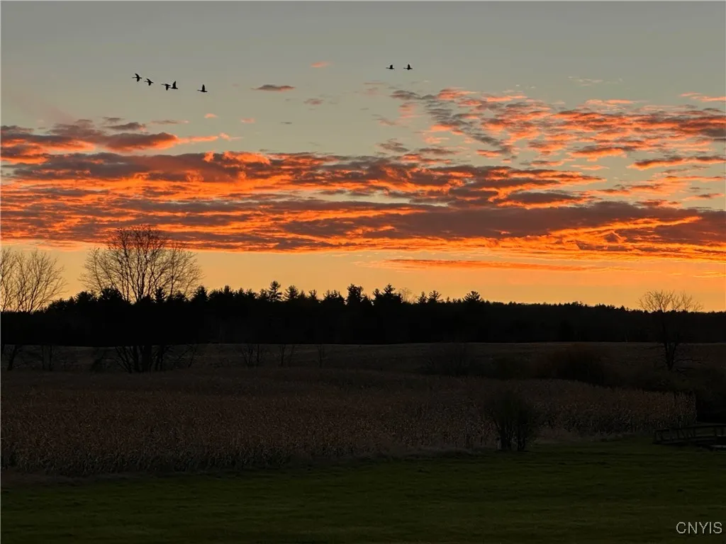 360 Ives Hill Road, Afton, New York 13730, Afton, New York 13730, ,Land,For Sale,360 Ives Hill Road, Afton, New York 13730,0,S1650736