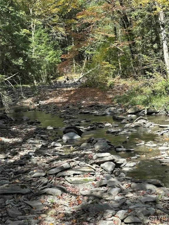 360 Ives Hill Road, Afton, New York 13730, Afton, New York 13730, ,Land,For Sale,360 Ives Hill Road, Afton, New York 13730,0,S1650736