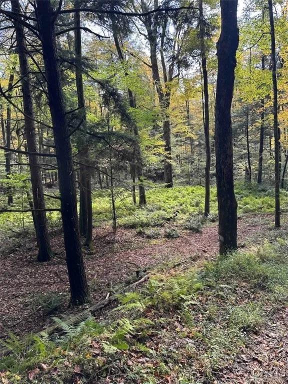 360 Ives Hill Road, Afton, New York 13730, Afton, New York 13730, ,Land,For Sale,360 Ives Hill Road, Afton, New York 13730,0,S1650736