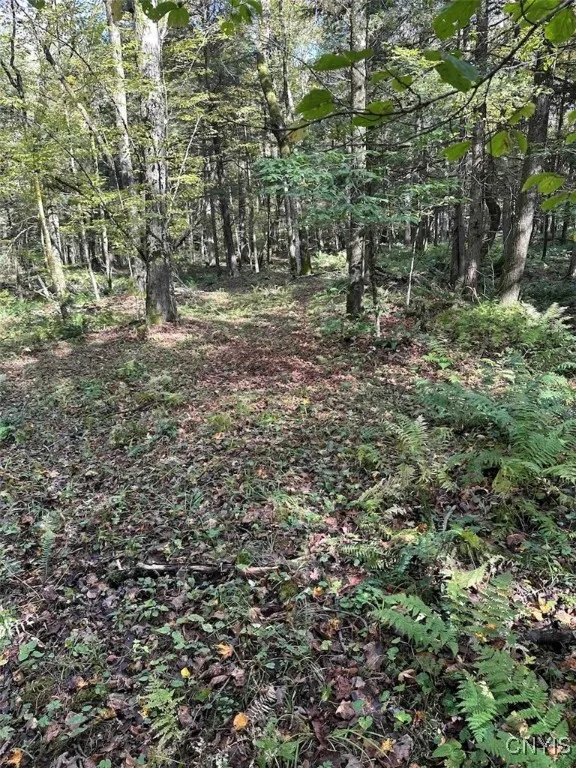 360 Ives Hill Road, Afton, New York 13730, Afton, New York 13730, ,Land,For Sale,360 Ives Hill Road, Afton, New York 13730,0,S1650736