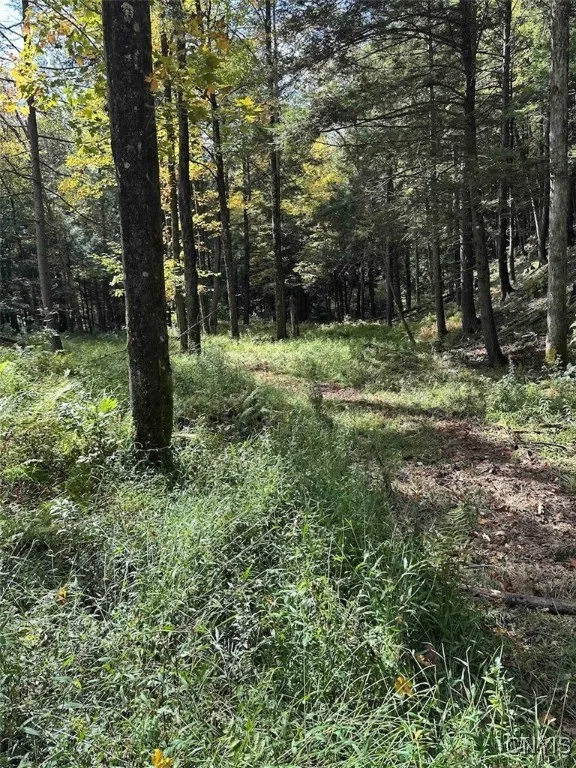 360 Ives Hill Road, Afton, New York 13730, Afton, New York 13730, ,Land,For Sale,360 Ives Hill Road, Afton, New York 13730,0,S1650736