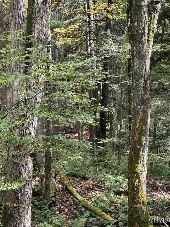 360 Ives Hill Road, Afton, New York 13730, Afton, New York 13730, ,Land,For Sale,360 Ives Hill Road, Afton, New York 13730,0,S1650736