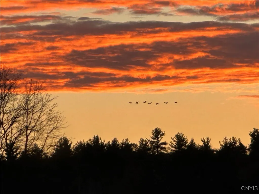 360 Ives Hill Road, Afton, New York 13730, Afton, New York 13730, ,Land,For Sale,360 Ives Hill Road, Afton, New York 13730,0,S1650736