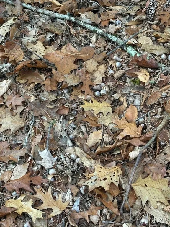 360 Ives Hill Road, Afton, New York 13730, Afton, New York 13730, ,Land,For Sale,360 Ives Hill Road, Afton, New York 13730,0,S1650736