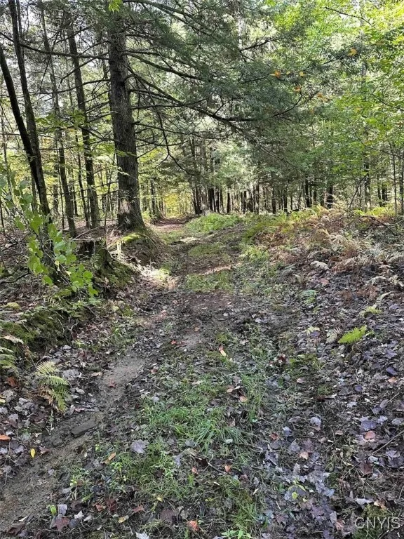 360 Ives Hill Road, Afton, New York 13730, Afton, New York 13730, ,Land,For Sale,360 Ives Hill Road, Afton, New York 13730,0,S1650736