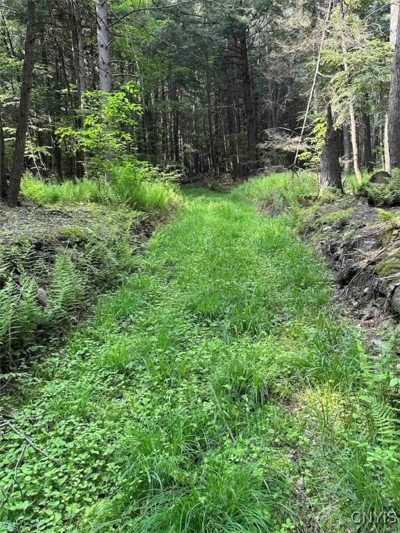 360 Ives Hill Road, Afton, New York 13730, Afton, New York 13730, ,Land,For Sale,360 Ives Hill Road, Afton, New York 13730,0,S1650736