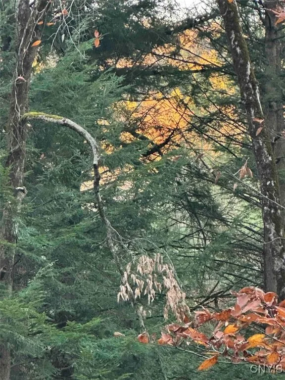 360 Ives Hill Road, Afton, New York 13730, Afton, New York 13730, ,Land,For Sale,360 Ives Hill Road, Afton, New York 13730,0,S1650736