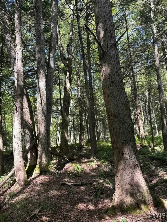 360 Ives Hill Road, Afton, New York 13730, Afton, New York 13730, ,Land,For Sale,360 Ives Hill Road, Afton, New York 13730,0,S1650736