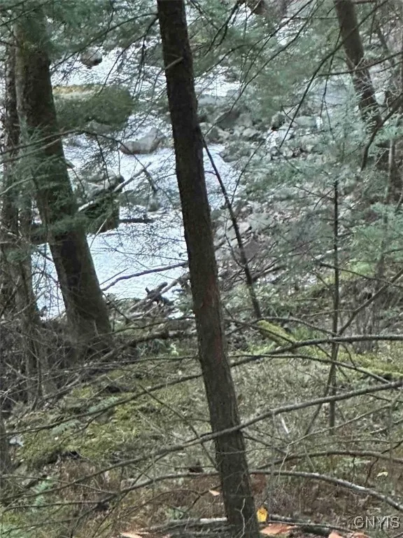 360 Ives Hill Road, Afton, New York 13730, Afton, New York 13730, ,Land,For Sale,360 Ives Hill Road, Afton, New York 13730,0,S1650736