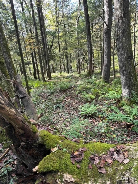 360 Ives Hill Road, Afton, New York 13730, Afton, New York 13730, ,Land,For Sale,360 Ives Hill Road, Afton, New York 13730,0,S1650736