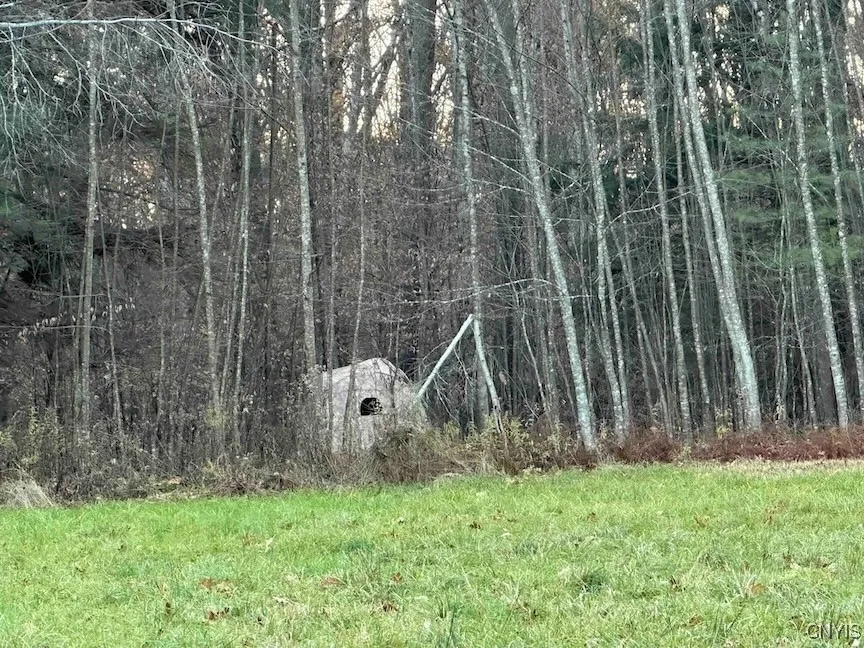 360 Ives Hill Road, Afton, New York 13730, Afton, New York 13730, ,Land,For Sale,360 Ives Hill Road, Afton, New York 13730,0,S1650736