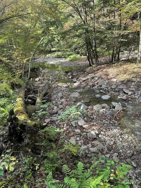 360 Ives Hill Road, Afton, New York 13730, Afton, New York 13730, ,Land,For Sale,360 Ives Hill Road, Afton, New York 13730,0,S1650736