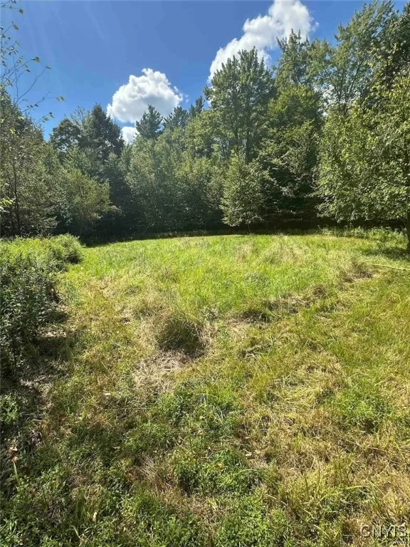 360 Ives Hill Road, Afton, New York 13730, Afton, New York 13730, ,Land,For Sale,360 Ives Hill Road, Afton, New York 13730,0,S1650736