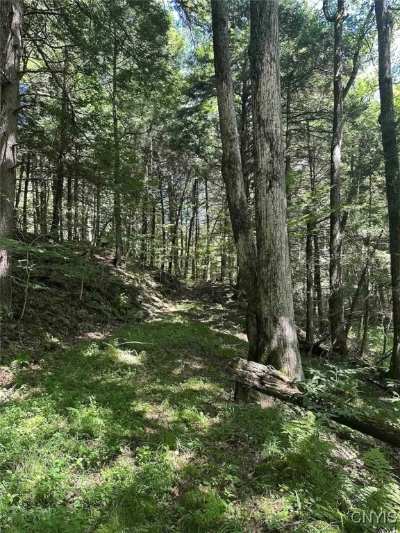 360 Ives Hill Road, Afton, New York 13730, Afton, New York 13730, ,Land,For Sale,360 Ives Hill Road, Afton, New York 13730,0,S1650736