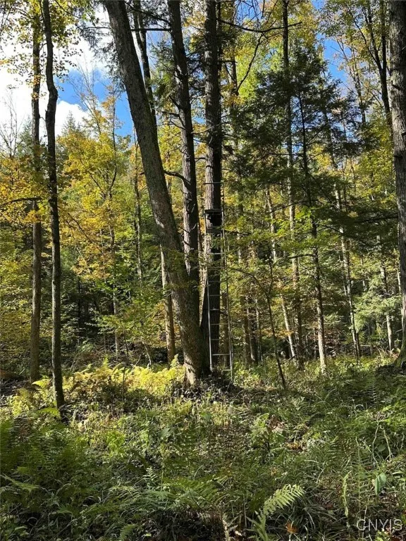 360 Ives Hill Road, Afton, New York 13730, Afton, New York 13730, ,Land,For Sale,360 Ives Hill Road, Afton, New York 13730,0,S1650736