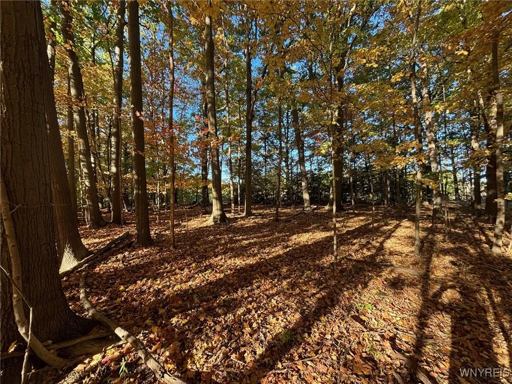 0 Stainton Drive, Hamburg, New York 14075, Hamburg, New York 14075, ,Land,For Sale,0 Stainton Drive, Hamburg, New York 14075,0,B1650759