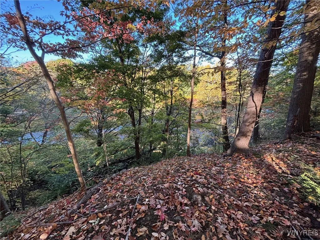 0 Stainton Drive, Hamburg, New York 14075, Hamburg, New York 14075, ,Land,For Sale,0 Stainton Drive, Hamburg, New York 14075,0,B1650759