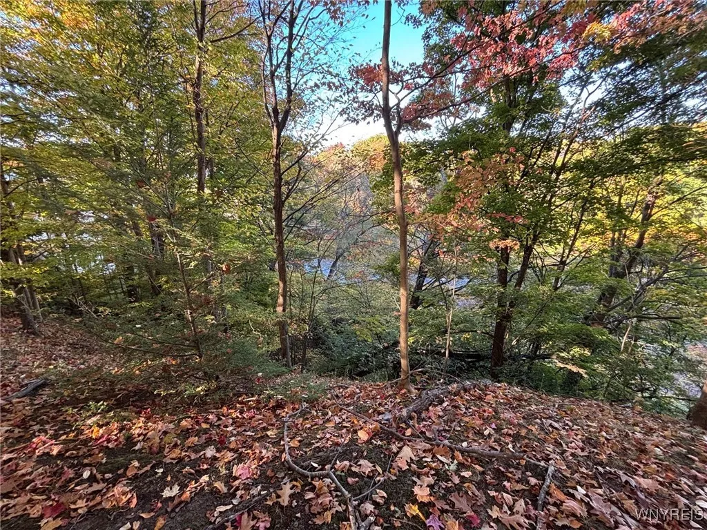 0 Stainton Drive, Hamburg, New York 14075, Hamburg, New York 14075, ,Land,For Sale,0 Stainton Drive, Hamburg, New York 14075,0,B1650759
