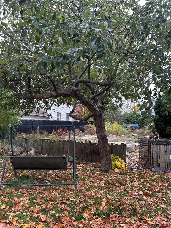 Apple 
Tree!