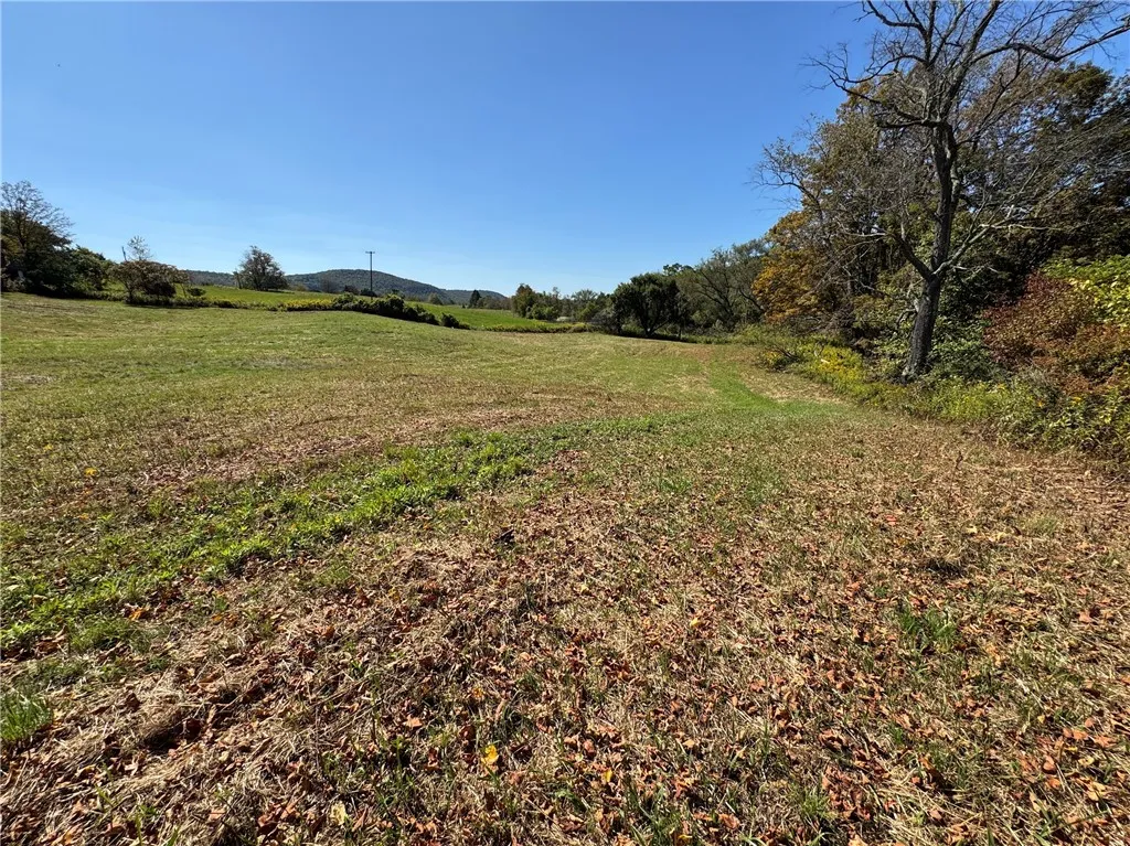 Rt-357, Franklin, New York 13775, Franklin, New York 13775, ,Land,For Sale,Rt-357, Franklin, New York 13775,0,R1649762