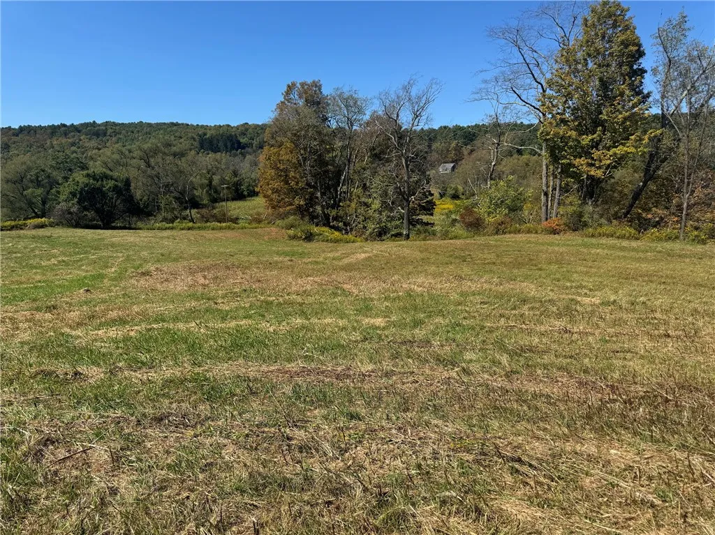 Rt-357, Franklin, New York 13775, Franklin, New York 13775, ,Land,For Sale,Rt-357, Franklin, New York 13775,0,R1649762