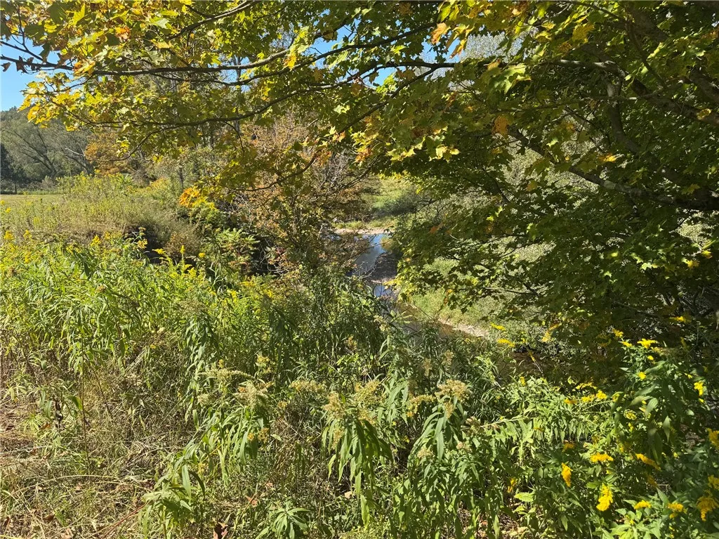 Rt-357, Franklin, New York 13775, Franklin, New York 13775, ,Land,For Sale,Rt-357, Franklin, New York 13775,0,R1649762