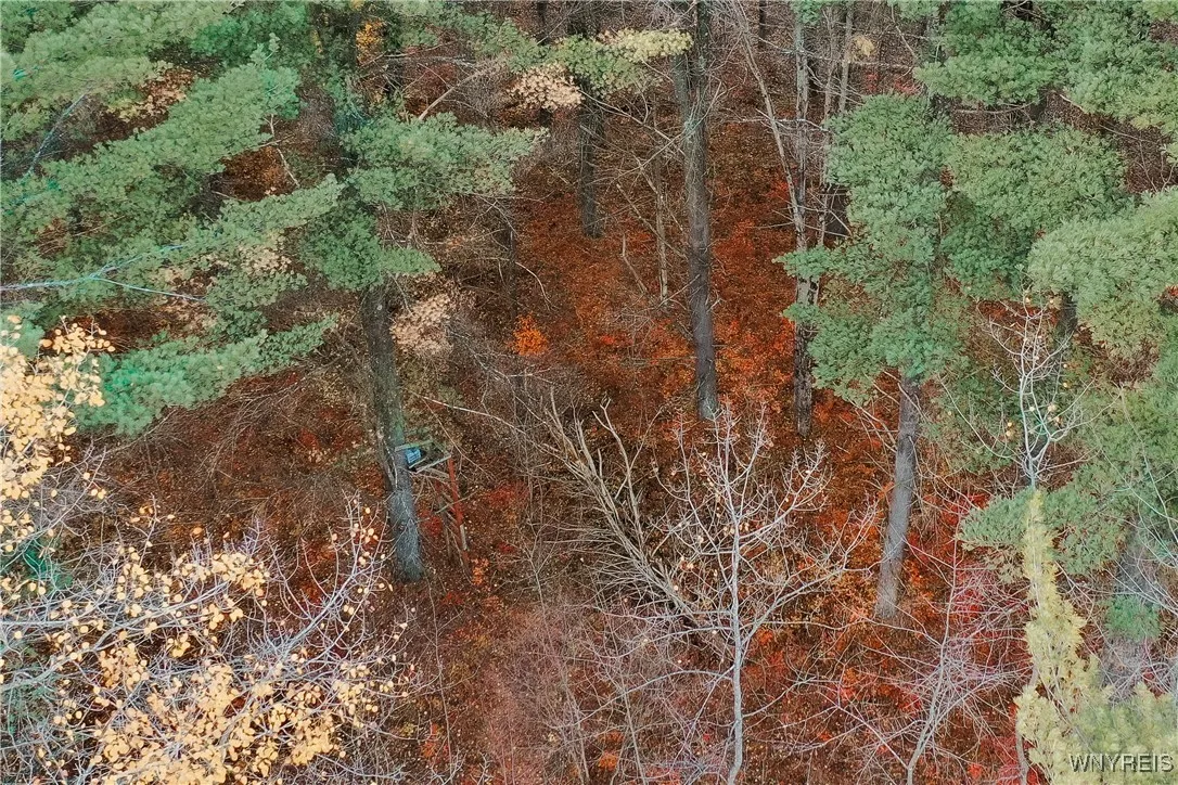 Smith Road, None, New York 13613, New York 13613, ,Land,For Sale,Smith Road, None, New York 13613,0,B1650279