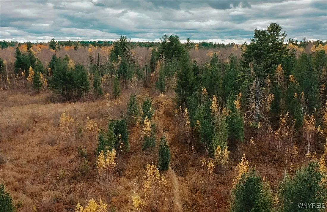 Smith Road, None, New York 13613, New York 13613, ,Land,For Sale,Smith Road, None, New York 13613,0,B1650279