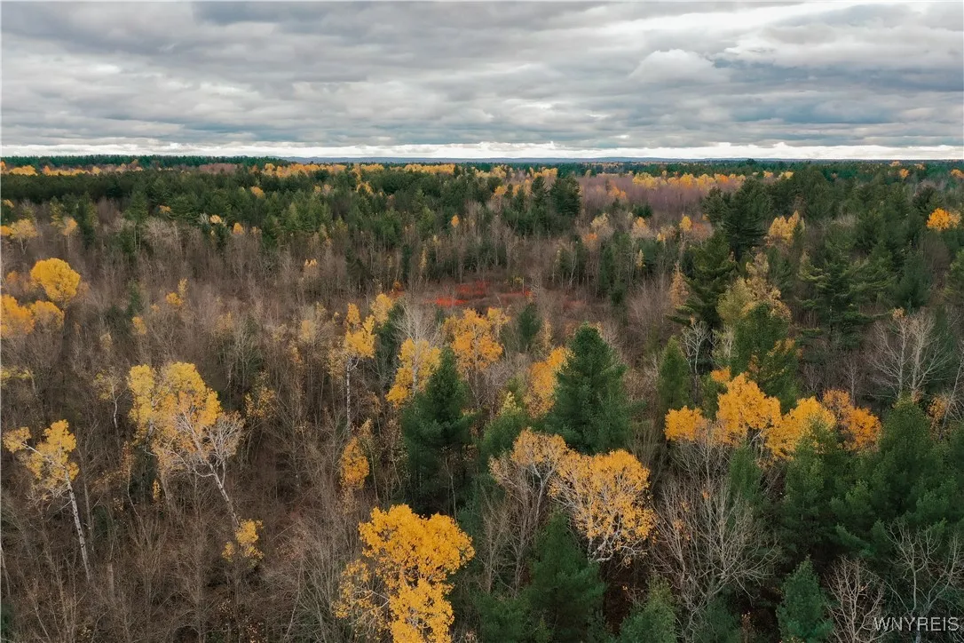 Smith Road, None, New York 13613, New York 13613, ,Land,For Sale,Smith Road, None, New York 13613,0,B1650279