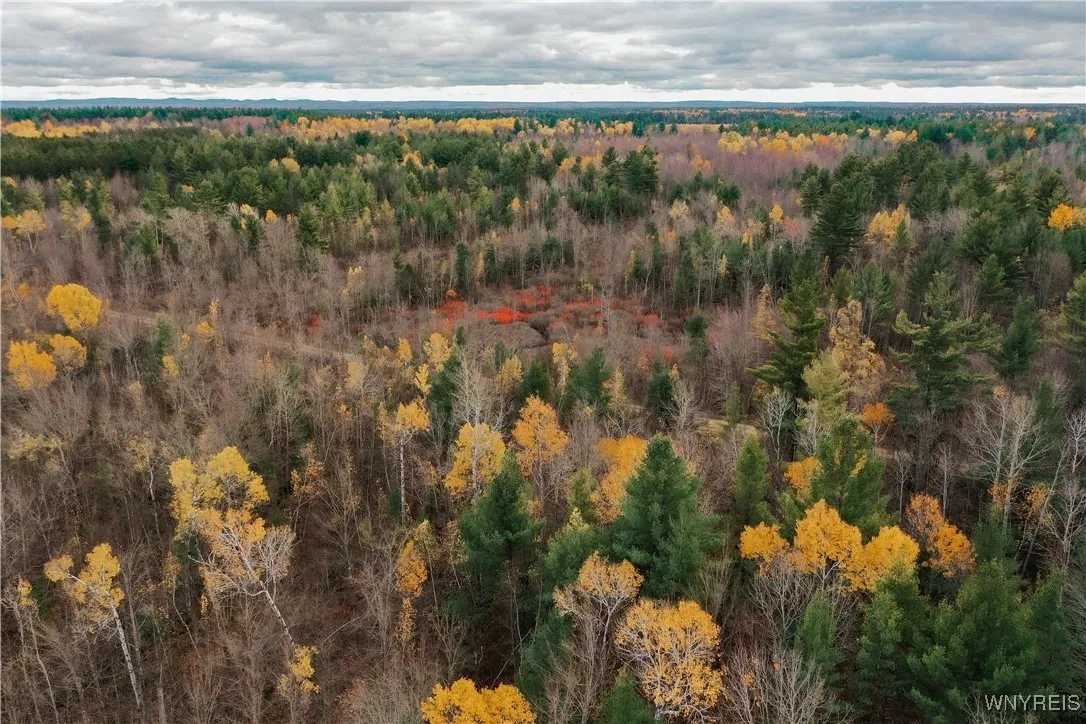 Smith Road, None, New York 13613, New York 13613, ,Land,For Sale,Smith Road, None, New York 13613,0,B1650279