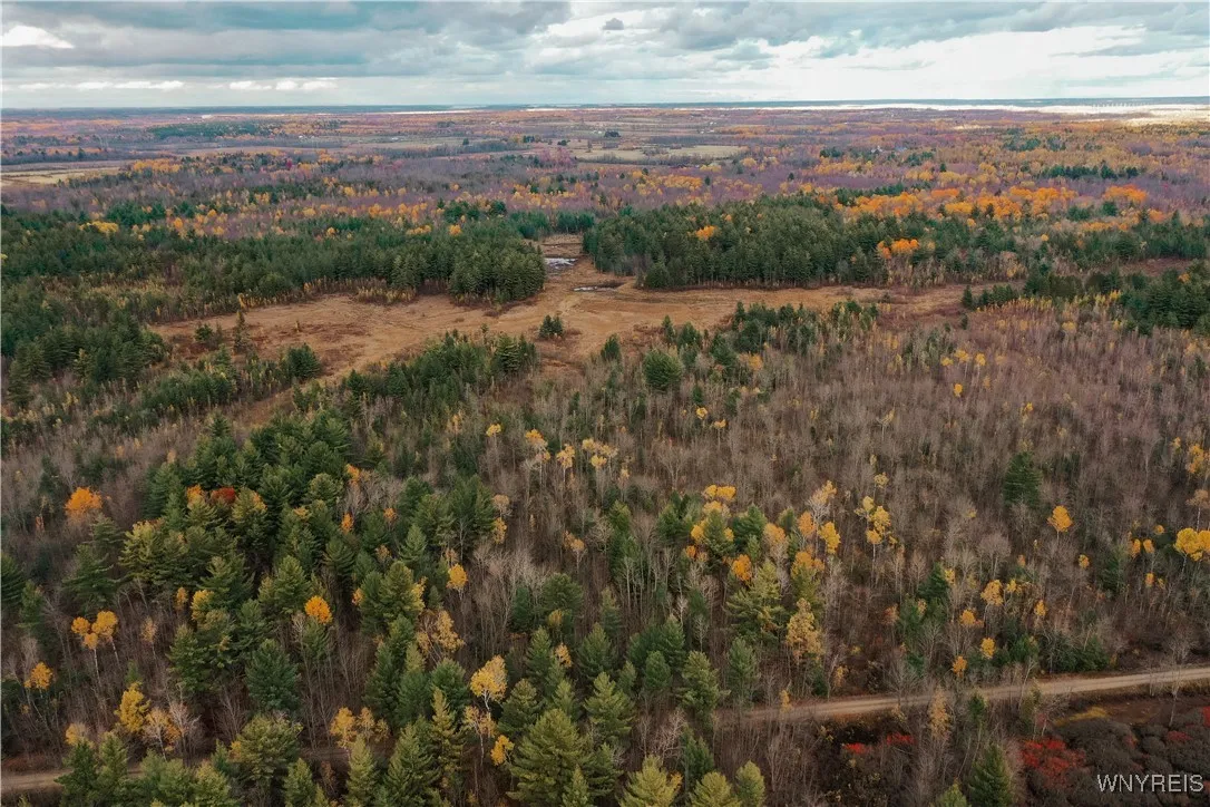 Smith Road, None, New York 13613, New York 13613, ,Land,For Sale,Smith Road, None, New York 13613,0,B1650279