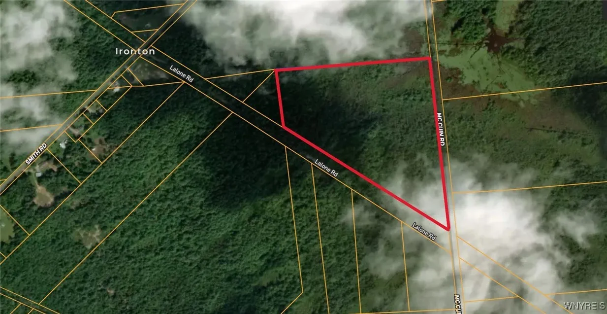 Smith Road, None, New York 13613, New York 13613, ,Land,For Sale,Smith Road, None, New York 13613,0,B1650279