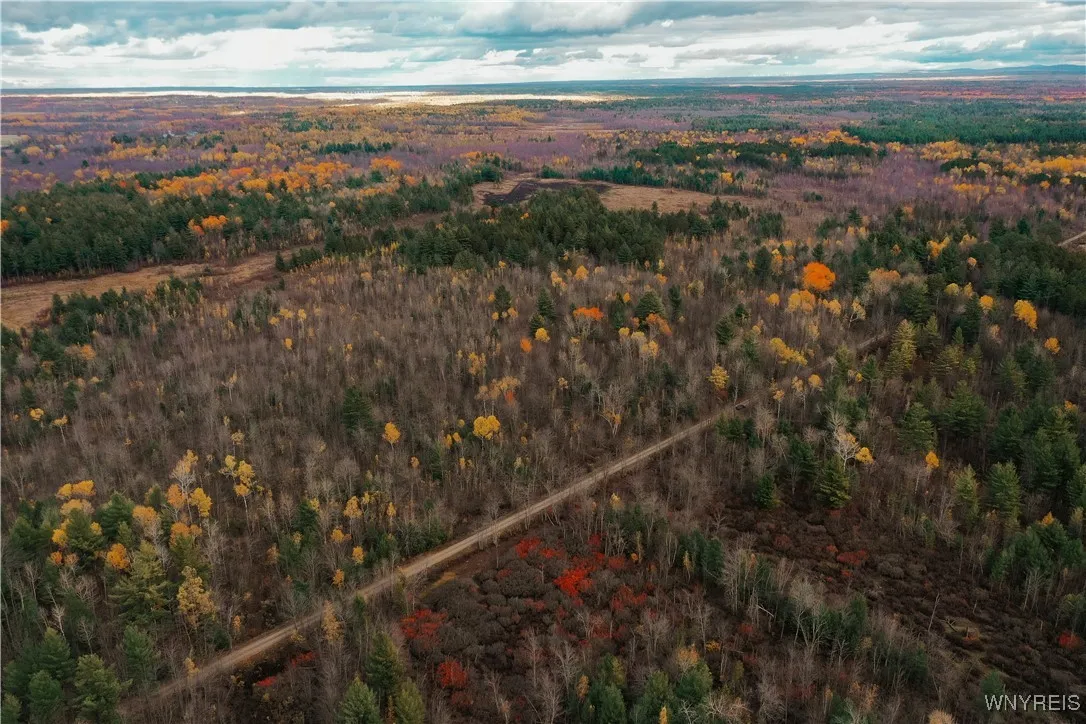 Smith Road, None, New York 13613, New York 13613, ,Land,For Sale,Smith Road, None, New York 13613,0,B1650279