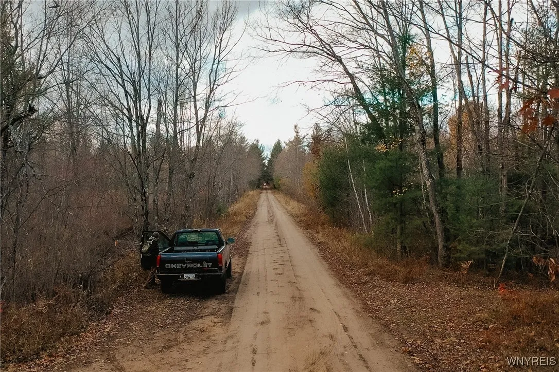 Smith Road, None, New York 13613, New York 13613, ,Land,For Sale,Smith Road, None, New York 13613,0,B1650279