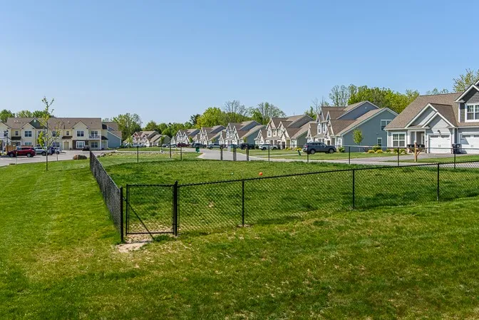 Green Wood dog park with plenty of room to run around