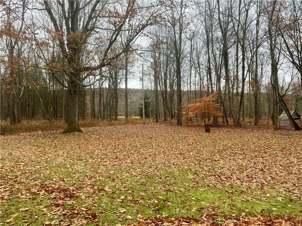 98 Rod And Gun Club Road, Franklin, New York 13820, Franklin, New York 13820, 3 Bedrooms Bedrooms, 7 Rooms Rooms,1 BathroomBathrooms,Residential,For Sale,98 Rod And Gun Club Road, Franklin, New York 13820,0,R1650233