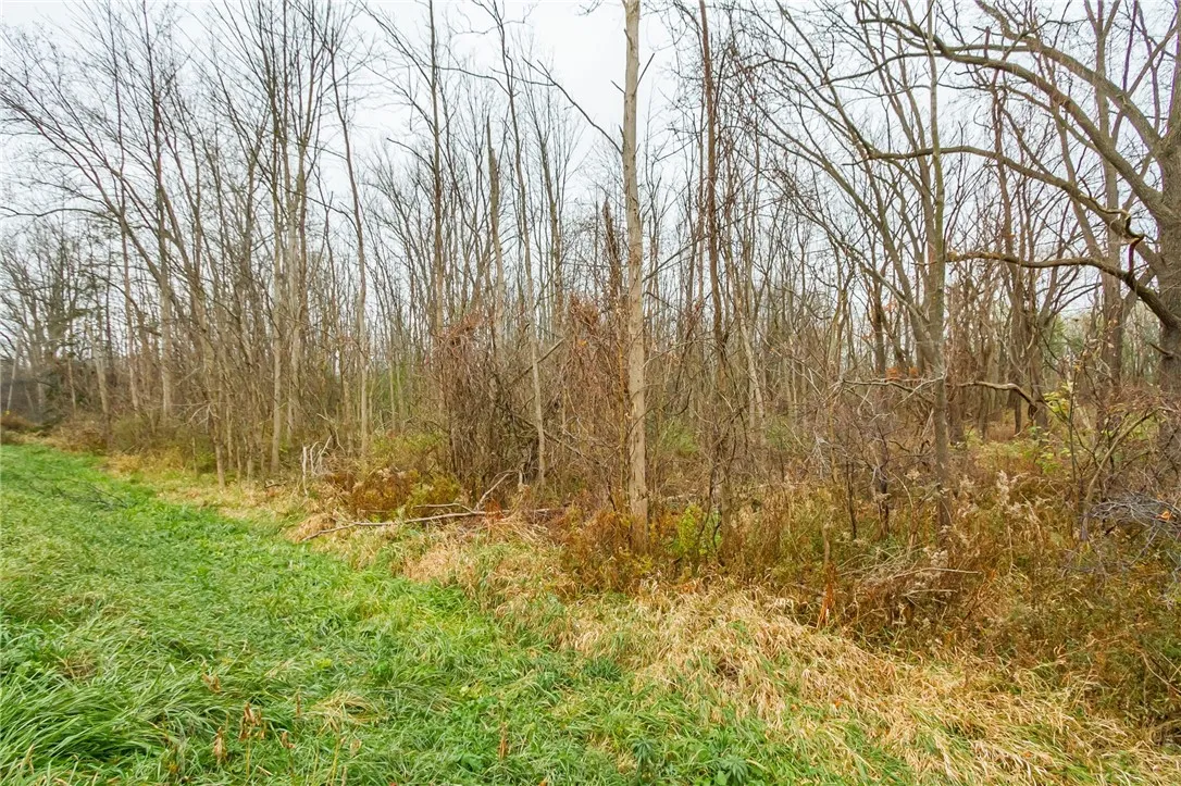 0 State Routes 5 And 20 Highway, Seneca, New York, Seneca, New York 14456, ,Land,For Sale,0 State Routes 5 And 20 Highway, Seneca, New York ,0,R1650818