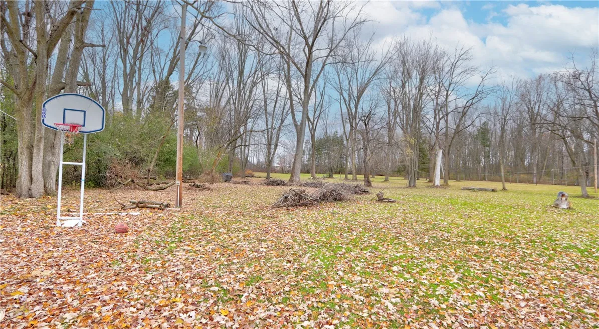 54 West Wright Avenue, Waterloo, New York 13165, Waterloo, New York 13165, 4 Bedrooms Bedrooms, 8 Rooms Rooms,1 BathroomBathrooms,Residential,For Sale,54 West Wright Avenue, Waterloo, New York 13165,0,R1650273