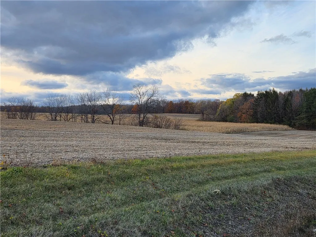 3356 Himrod Road, Milo, New York 14842, Milo, New York 14842, ,Land,For Sale,3356 Himrod Road, Milo, New York 14842,0,R1650901