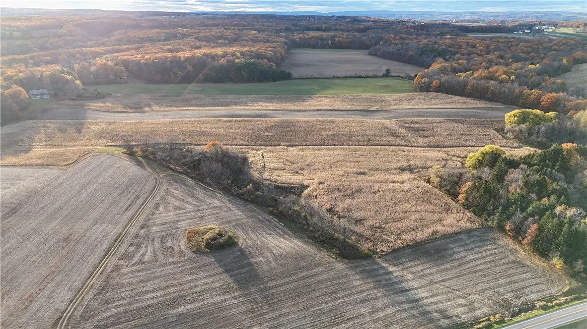 3356 Himrod Road, Milo, New York 14842, Milo, New York 14842, ,Land,For Sale,3356 Himrod Road, Milo, New York 14842,0,R1650901