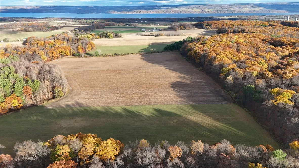 3356 Himrod Road, Milo, New York 14842, Milo, New York 14842, ,Land,For Sale,3356 Himrod Road, Milo, New York 14842,0,R1650901