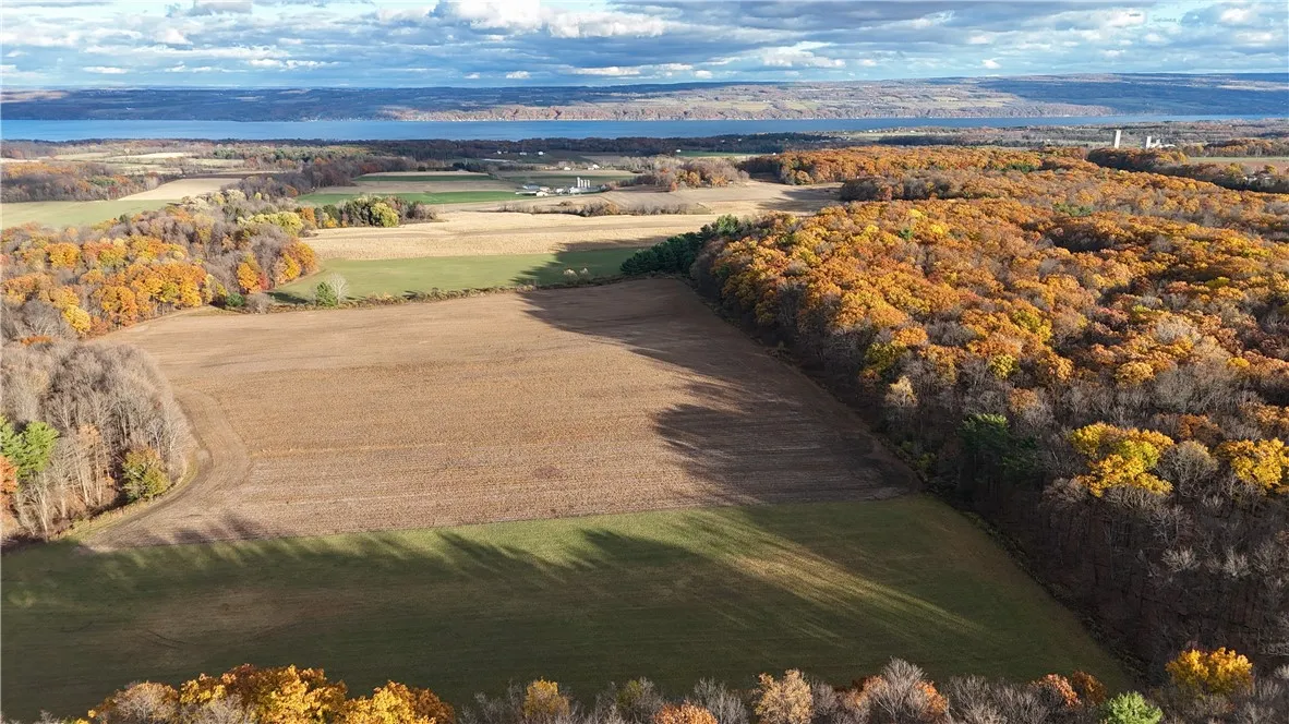 3356 Himrod Road, Milo, New York 14842, Milo, New York 14842, ,Land,For Sale,3356 Himrod Road, Milo, New York 14842,0,R1650901