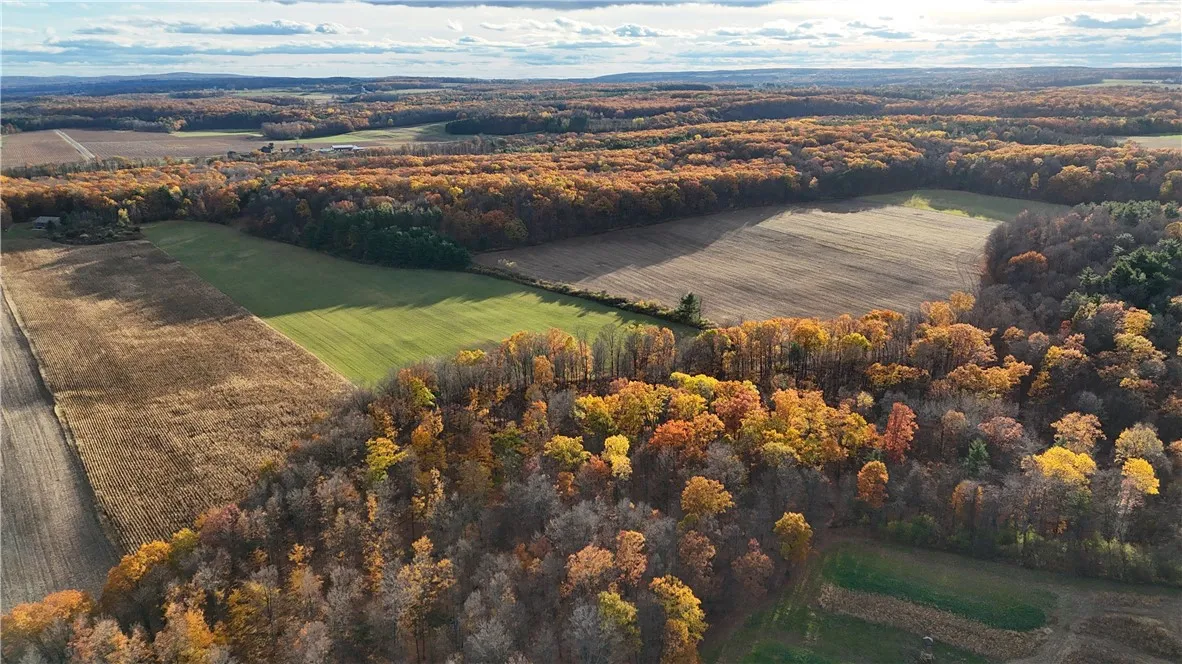3356 Himrod Road, Milo, New York 14842, Milo, New York 14842, ,Land,For Sale,3356 Himrod Road, Milo, New York 14842,0,R1650901